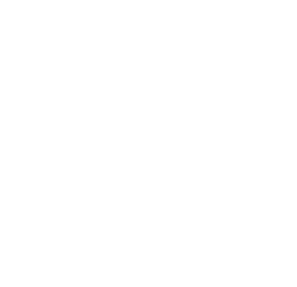 TOP4 in TOKYO DOME 2Days